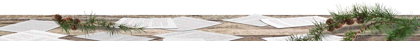 דפי עריכה לשונית עם אצטרובלים מסמלים טבעיות ויופי בעריכה לשונית ועריכת תוכן.