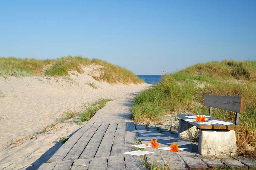 שביל נגיש מעץ בחוף בדרך לים וספסל מעץ ספסל מעץ בשביל נגיש מעץ בחוף בדרך לים, ועליהם מפוזרים דפי עריכה לשונית ועלי כותרת כתומים, מדגימים נגישות באתר עריכה לשונית.