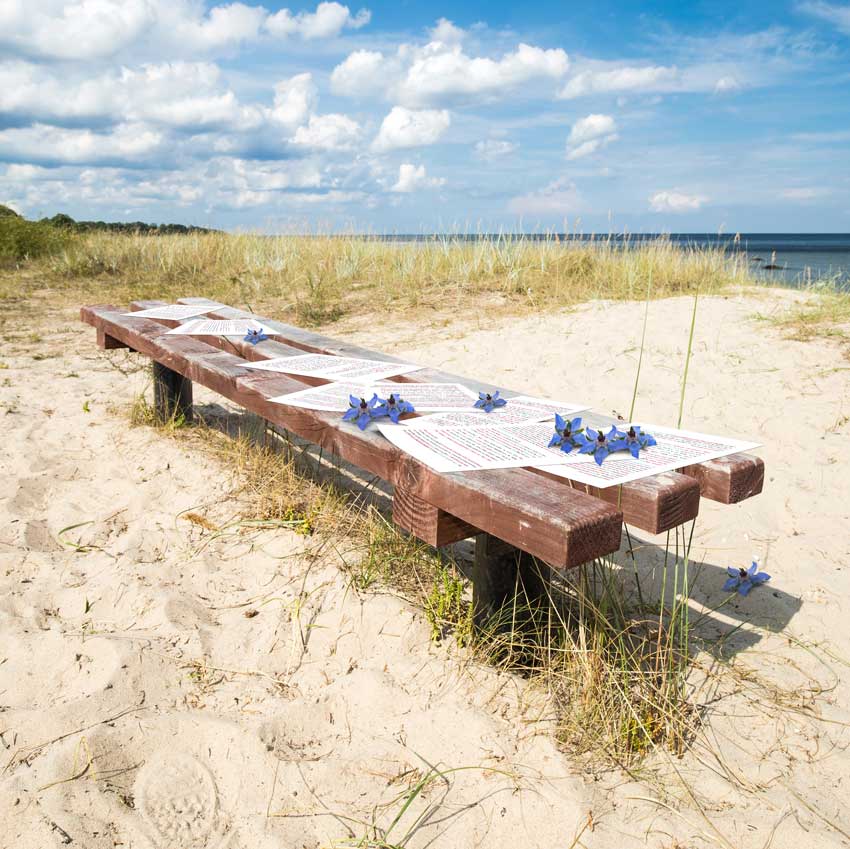 דפי עריכה לשונית ועלי כותרת סגולים מונחים על ספסל על החוף מול הים מדגימים יופי מאופק, נגישות ויציבות