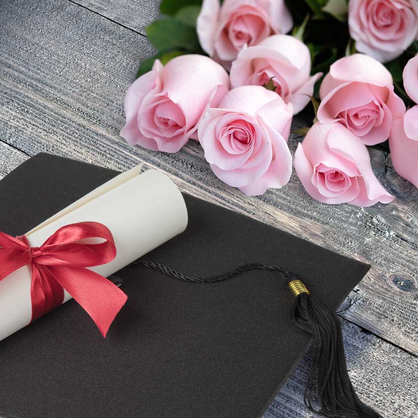 צילום תקריב של כובע מסיימי תואר אקדמי ודיפלומה עם סרט ליד ורדים בוורוד בהיר, מדגימים הצלחה בקבלת התואר לאחר עריכה מדעית מקצועית.