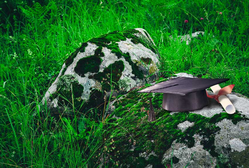 כובע בוגרים למסיימי תואר אקדמי ודיפלומה, מונחים על אבן עם ירוקת ביער ירוק מדגימים עריכה מדעית טבעית המתמזגת עם מטרות המחקר.