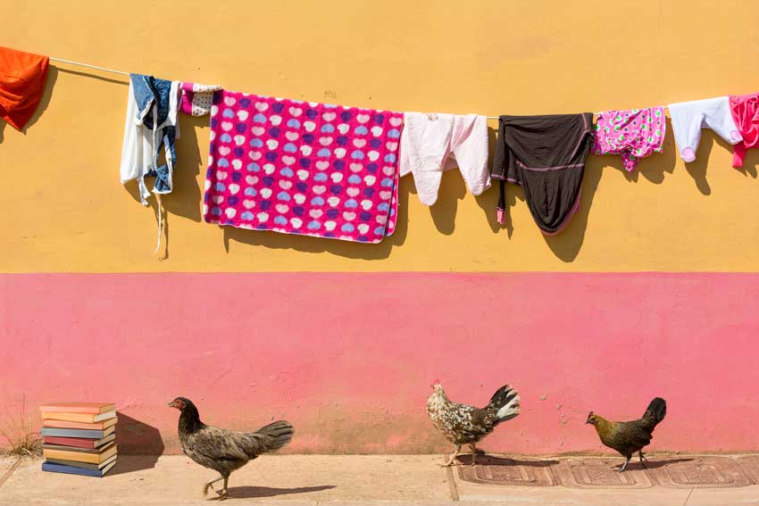 תרנגולות וקיר צבעוני עם כביסה בגואטפה קולומביה, ליד ערמת ספרים, מדגימים עריכה ספרותית טובה הלוכדת רגעים אותנטיים ומעצימה אותם.