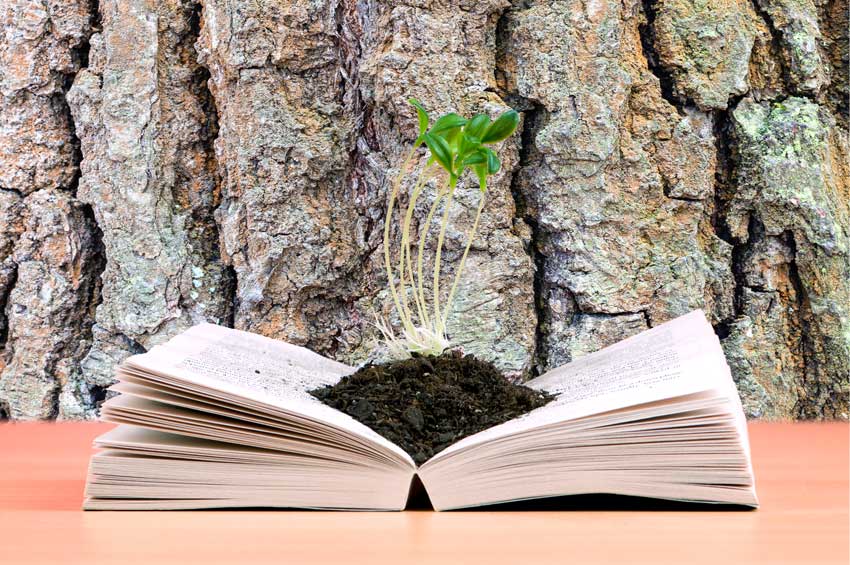 שתילים צומחים מספר פתוח על רקע גזע עץ, מדגימים מגוון פעולות בעריכה ספרותית המצמיחות את היצירה.