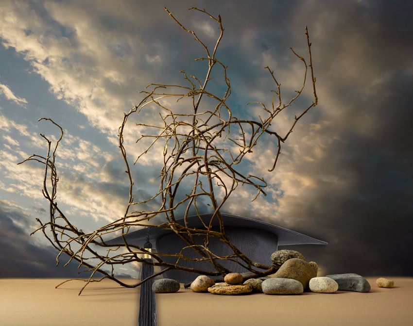 כובע אקדמי מאחורי סבך ענפים על רקע שמיים קודרים מדגים מצוקה בהיעדר בדיקת ביבליוגרפיה והצלבת אזכורים.